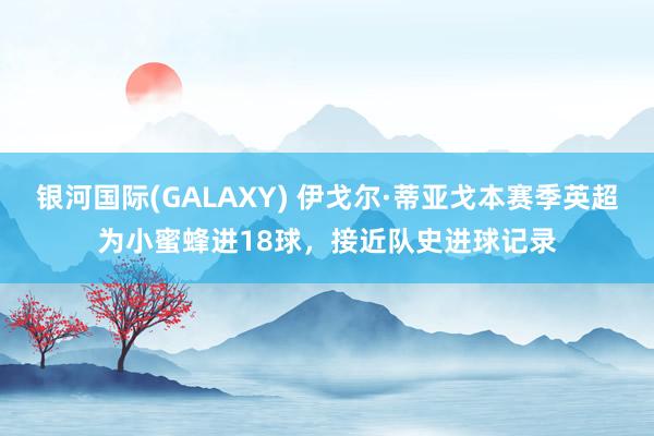 银河国际(GALAXY) 伊戈尔·蒂亚戈本赛季英超为小蜜蜂进18球，接近队史进球记录