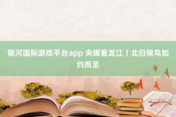 银河国际游戏平台app 央媒看龙江丨北归候鸟如约而至