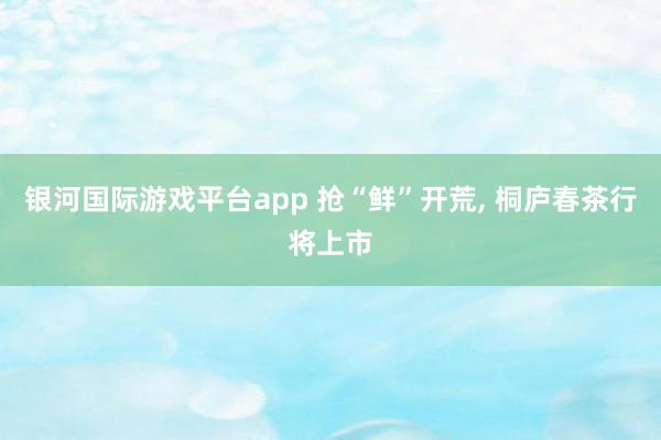 银河国际游戏平台app 抢“鲜”开荒， 桐庐春茶行将上市