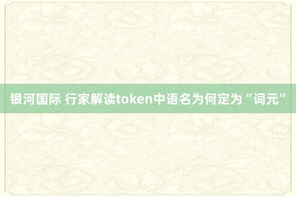 银河国际 行家解读token中语名为何定为“词元”