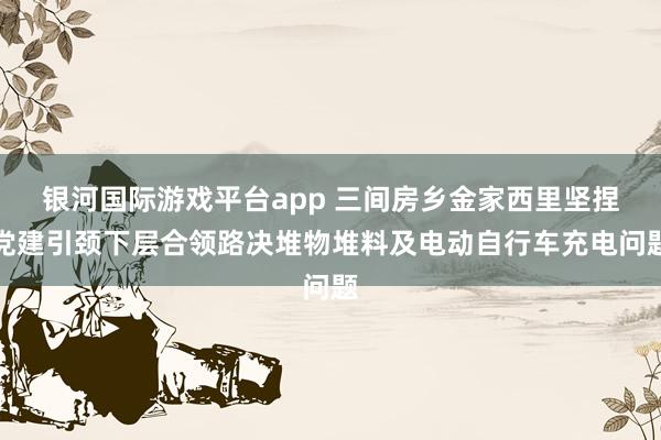 银河国际游戏平台app 三间房乡金家西里坚捏党建引颈下层合领路决堆物堆料及电动自行车充电问题