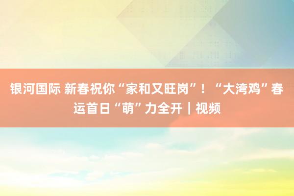 银河国际 新春祝你“家和又旺岗”！“大湾鸡”春运首日“萌”力全开｜视频