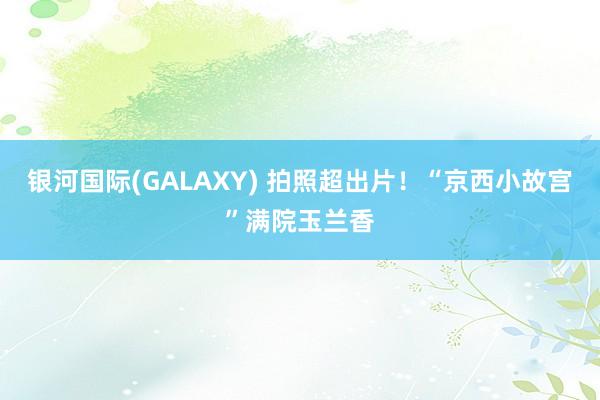 银河国际(GALAXY) 拍照超出片！“京西小故宫”满院玉兰香