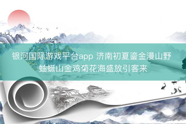 银河国际游戏平台app 济南初夏鎏金漫山野 蚰蜒山金鸡菊花海盛放引客来