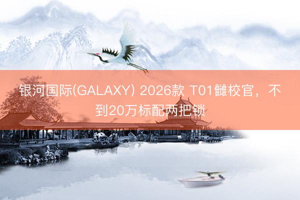 银河国际(GALAXY) 2026款 T01雠校官，不到20万标配两把锁