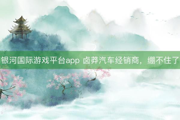 银河国际游戏平台app 卤莽汽车经销商，绷不住了
