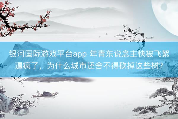 银河国际游戏平台app 年青东说念主快被飞絮逼疯了，为什么城市还舍不得砍掉这些树？