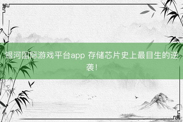 银河国际游戏平台app 存储芯片史上最目生的逆袭！