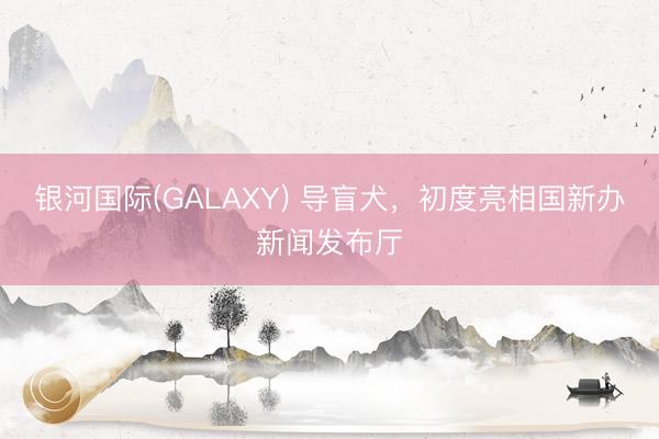 银河国际(GALAXY) 导盲犬，初度亮相国新办新闻发布厅