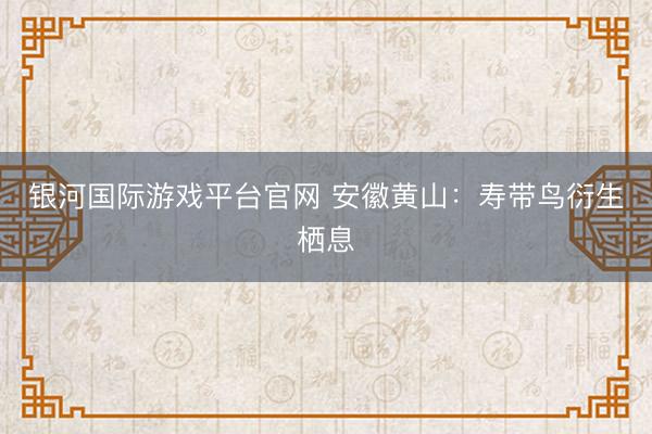 银河国际游戏平台官网 安徽黄山：寿带鸟衍生栖息