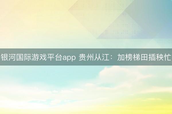 银河国际游戏平台app 贵州从江：加榜梯田插秧忙