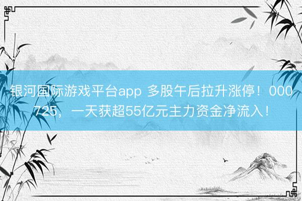 银河国际游戏平台app 多股午后拉升涨停！000725，一天获超55亿元主力资金净流入！