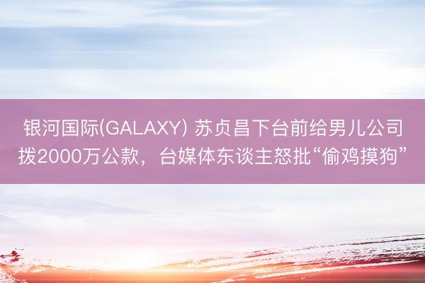 银河国际(GALAXY) 苏贞昌下台前给男儿公司拨2000万公款，台媒体东谈主怒批“偷鸡摸狗”