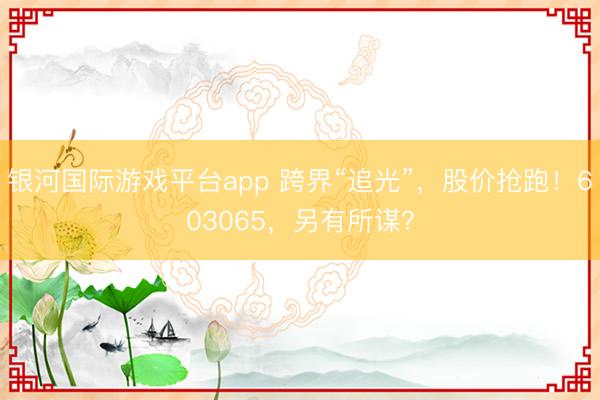 银河国际游戏平台app 跨界“追光”,股价抢跑!603065,另有所谋?