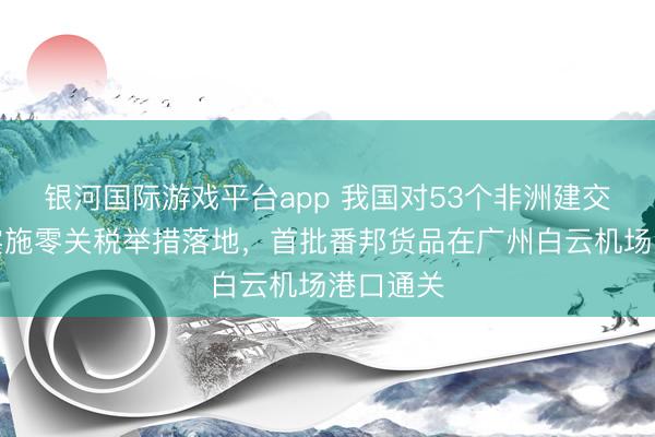 银河国际游戏平台app 我国对53个非洲建交国全面实施零关税举措落地，首批番邦货品在广州白云机场港口通关